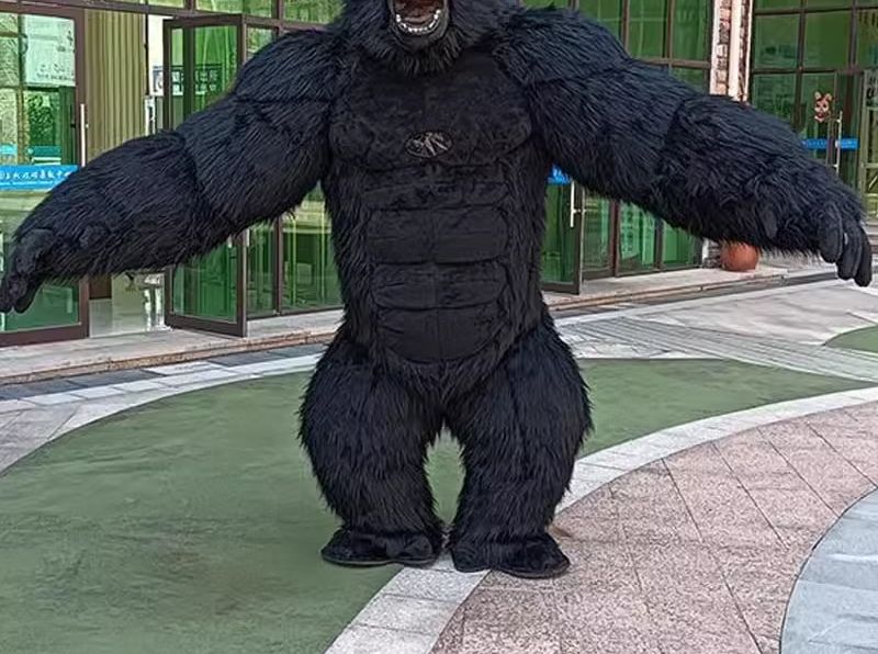Vida real inflável gorila traj - Anime Cosplay Real Life avaliação e preço