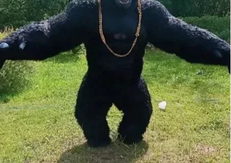 Natal vida real inflável goril - Anime Cosplay Real Life avaliação e preço