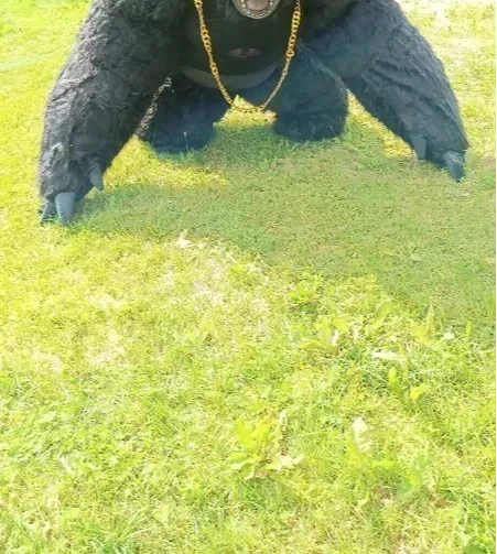 Natal vida real inflável goril - Anime Cosplay Real Life avaliação e preço