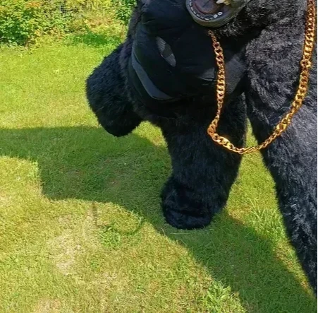Natal vida real inflável goril - Anime Cosplay Real Life avaliação e preço