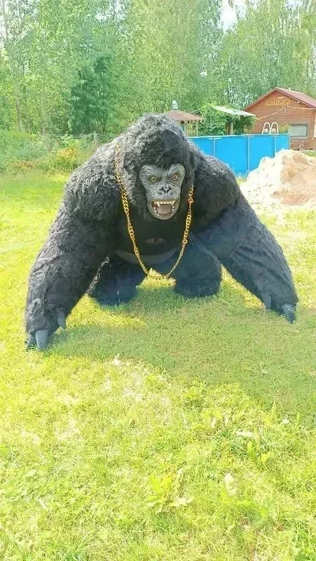 Natal vida real inflável goril - Anime Cosplay Real Life avaliação e preço