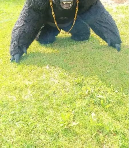 Vida real inflável gorila traj - Anime Cosplay Real Life avaliação e preço