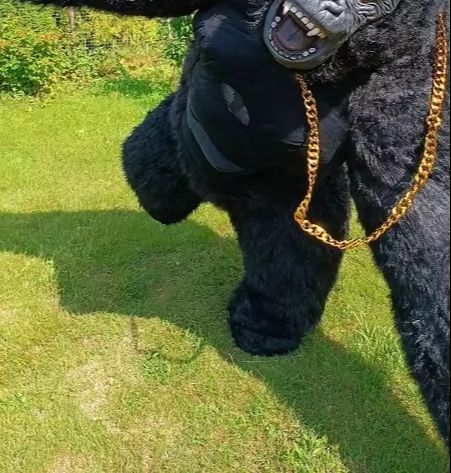 Vida real inflável gorila traj - Anime Cosplay Real Life avaliação e preço