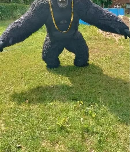 Vida real inflável gorila traj - Anime Cosplay Real Life avaliação e preço